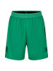 24/25 ADULT HOME GK SHORT