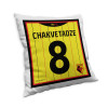 CHAKVETADZE PLAYER CUSHION