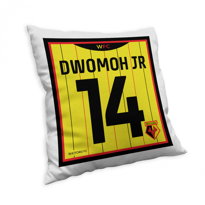 DWOMOH PLAYER CUSHION